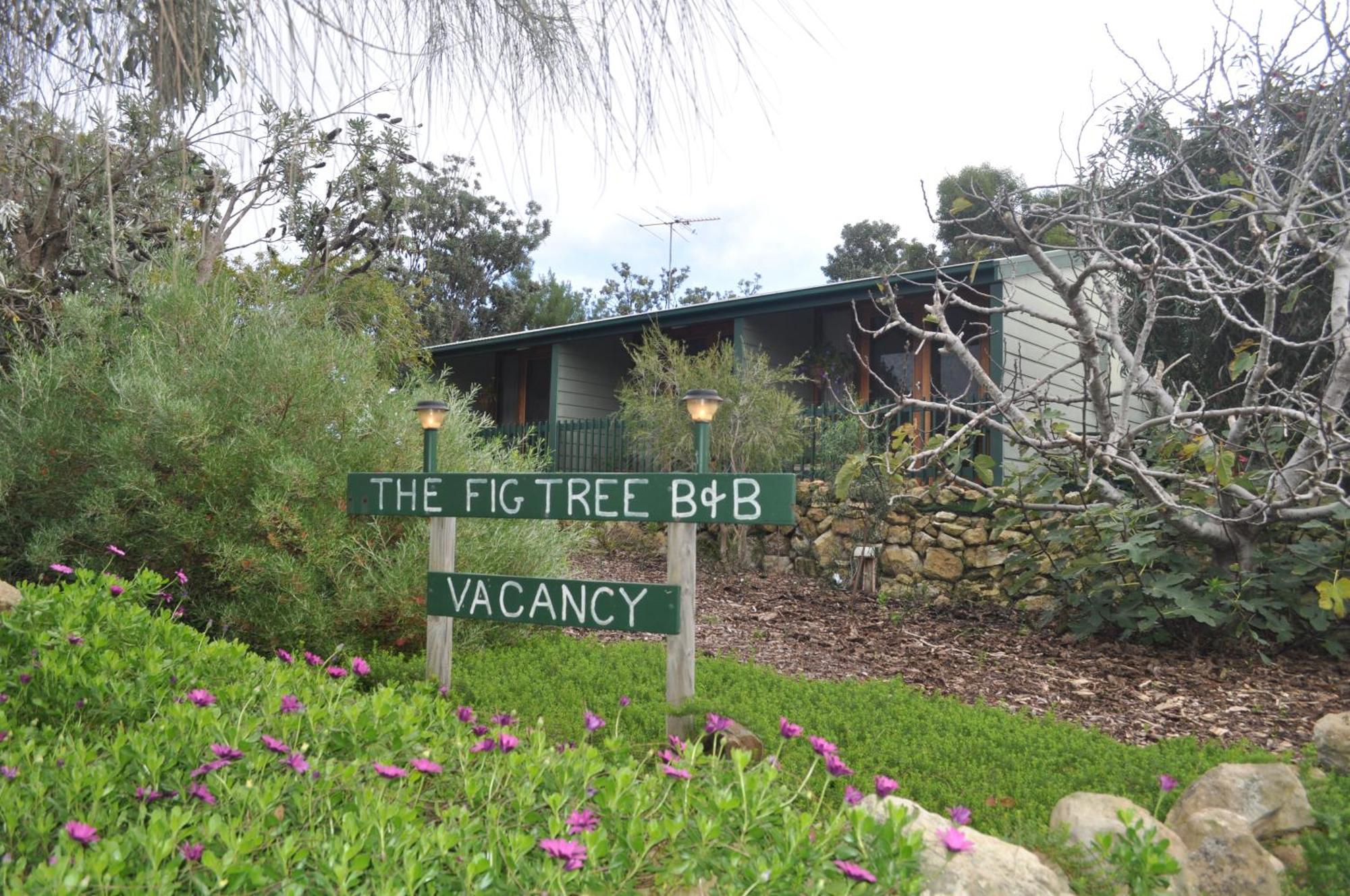 The Fig Tree B&B Baudin Beach Exteriör bild
